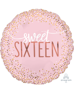 18" Sweet 16 Blush Pkg