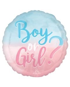 18" Boy? or Girl? Pkg