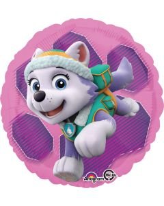 18" Skye & Everest Paw Patrol