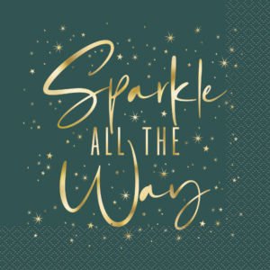 20 MDRN XMS SPARKLE LUN NAP-FS