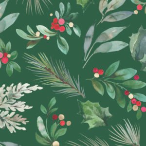 16 TRDTNL XMAS GST NAP-FS