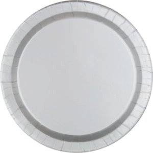 20 SILVER 9" PLT