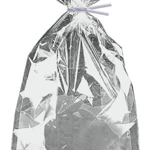 10 SILVER FOIL CEL BG 5X11