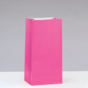 12 PPR PARTY BAGS -HOT PINK