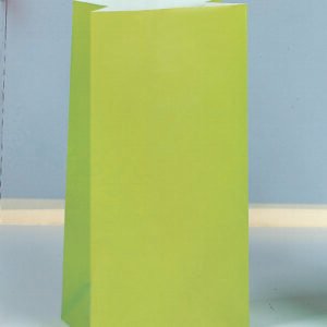 12 PPR PARTY BAGS-LIME GREEN