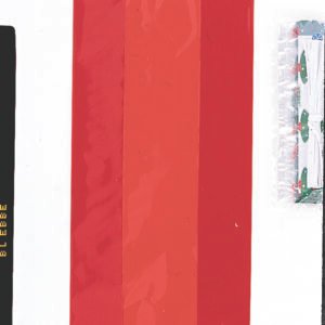 30 RUBY RED CELLO BAGS