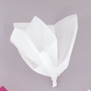 10 WHITE TISSUE SHEETS