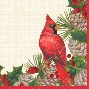 16 RED CARDINAL XMAS BEV NAP