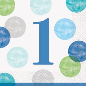 16 BLU DOTS 1BD LUN NAP