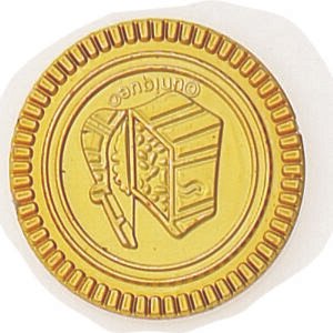 30 TREASURE COINS - NET BAG