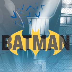 16 BATMAN BEV NAP