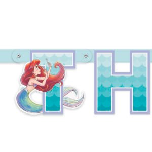 ARIEL LRG JNTD BNNR